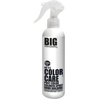 BIG Professional Color Care Post-Color Bond Building ColorFix Spray, 250ml
